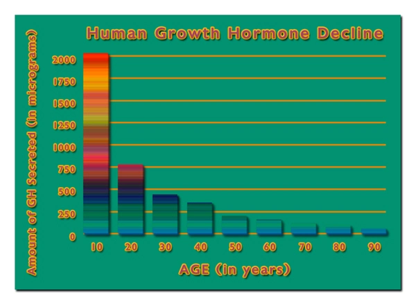 hgh chart best growth hormones.webp