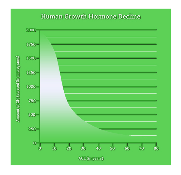 growth hgh chart hormone amino acids growth hgh chart hormone amino acids