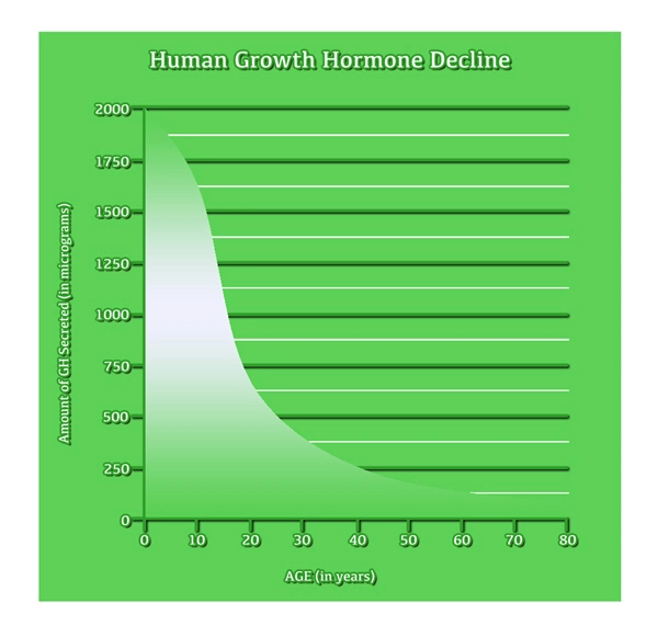 growth hgh chart hormone amino acids.webp