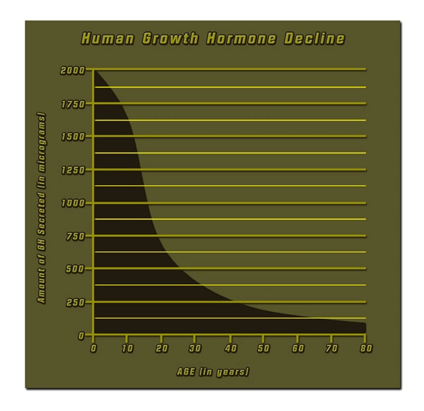 hgh chart human hormone growth.webp