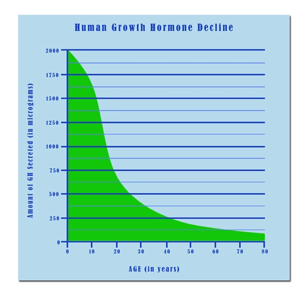 injections for sale hgh chart.webp