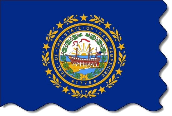 New Hampshire state flag, medical clinics