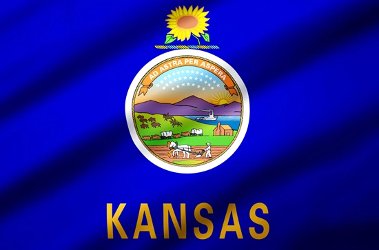 Kansas state flag, medical clinics