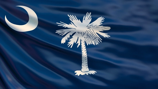 South Carolina state flag, medical clinics