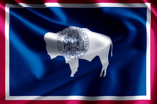Wyoming state flag, medical clinics