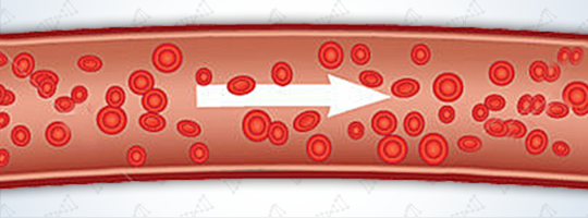 Improved Cholesterol Profile