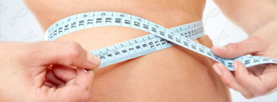 HCG Diet and Weight Loss