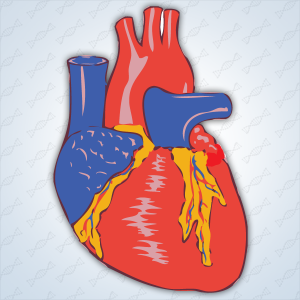 greater-cardiac-output-sq-300x300