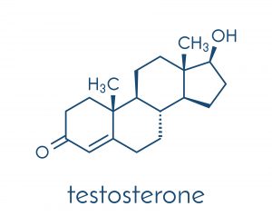 Testosterone Hormone Structure 300x238