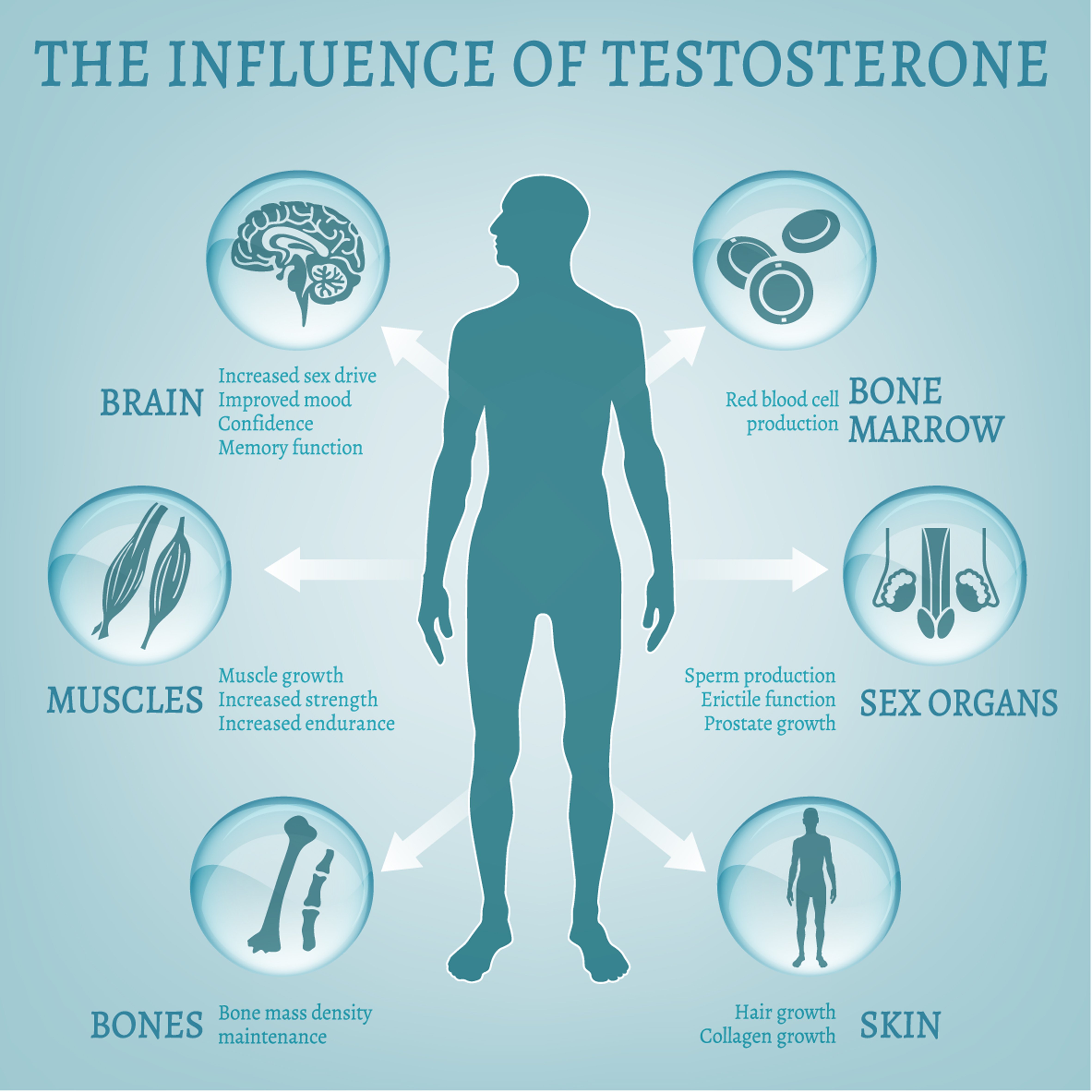 male hormone therapy