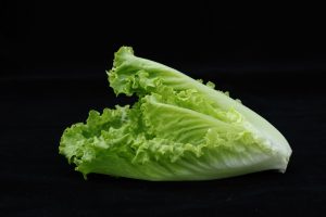 romaine lettuce is great for dieting and weight loss 300x200