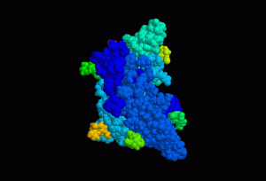 follicle stimulating hormone reproductive hormone 300x204