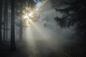 sunbeams 1547273_960_720 300x199